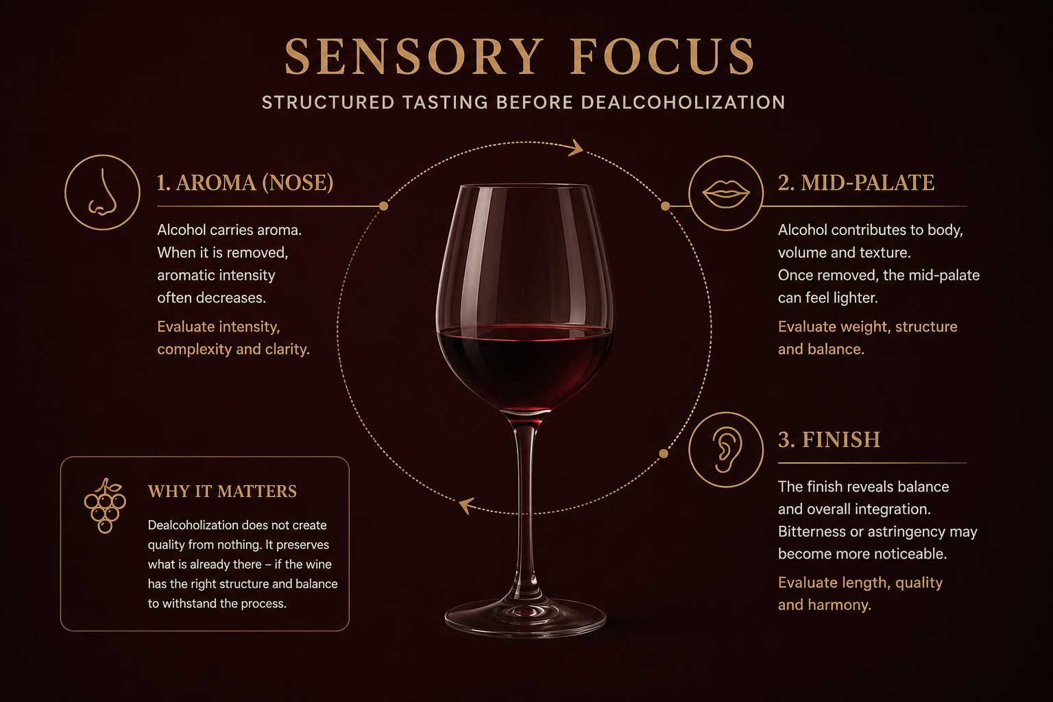 Wine sensory pre-check diagram showing aroma, mid-palate and finish evaluation before dealcoholization